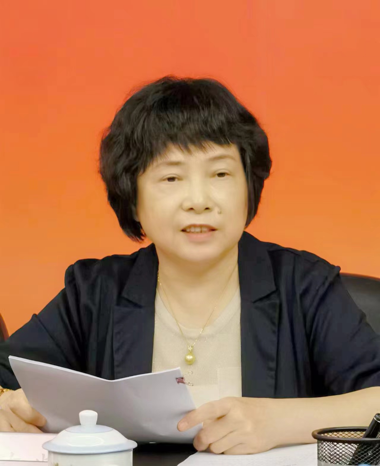 20221024 厦门市人大常委会副主任、台盟厦门市委主委陈紫萱主持会议并提出初步学习贯彻意见 苑香兰摄.jpg